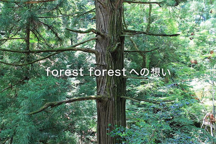 forest forestへの想い